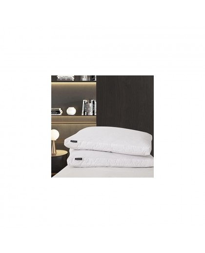 Feather Pillows Collection Item 004